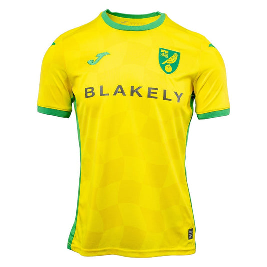 Maillot norwich city 2024/2025 domicile